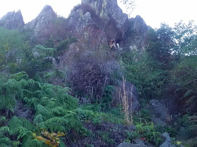 �Βi�オ��ƁA��₪�����܂��B_���R����