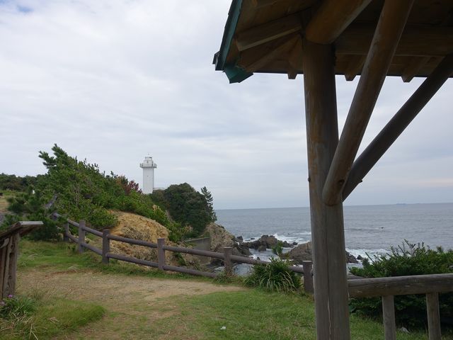 �l�p�����䂪�����܂�_����̓�