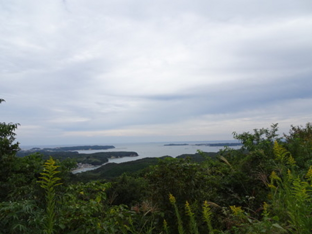 ����_�p�[�����[�h