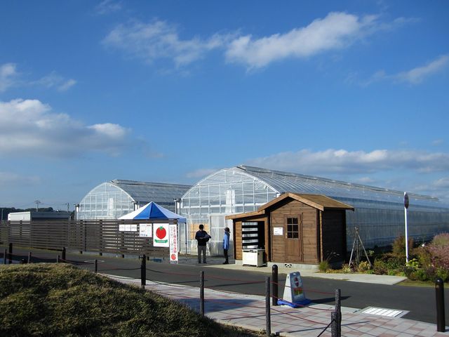 2016�N11��5���������B�e�j���̉w�u�Ђ����������E����̋��v�Ƃ܂ƓE�ݎ��̌�_���̉w �Ђ��������� ����̋�