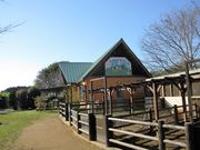 񂳂̃|Pbgt@[ǂǂ̓eʐ^7