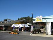 񂳂̐X̉ƒ뗿Xg̓eʐ^2