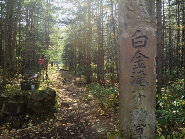 ��ւ̎U���H_�s���̑�