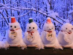 NbV[̃VbsO[hujOeXvւ̓eʐ^2