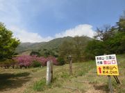 ܂܂ς񂾂̐ԍR̓eʐ^3