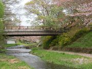 ܂܂ς񂾂̋ʐ̎R̓eʐ^1