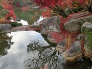 ܂܂ς񂾂̂т킱i][j̓eʐ^3