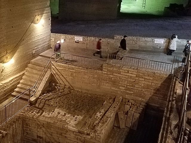 �K�i���~��Ă����Ƒ��Ԃ��I�I_��J������