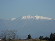 nishiyan̕xRsW]̓eʐ^3