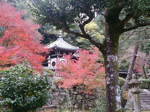 �ݕ���_���@�R�ݕ���