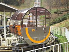 񂳂̂܂ǂ̍ւ̓eʐ^1