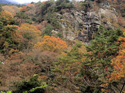 񂿂񂳂̕ʎqC̓eʐ^1