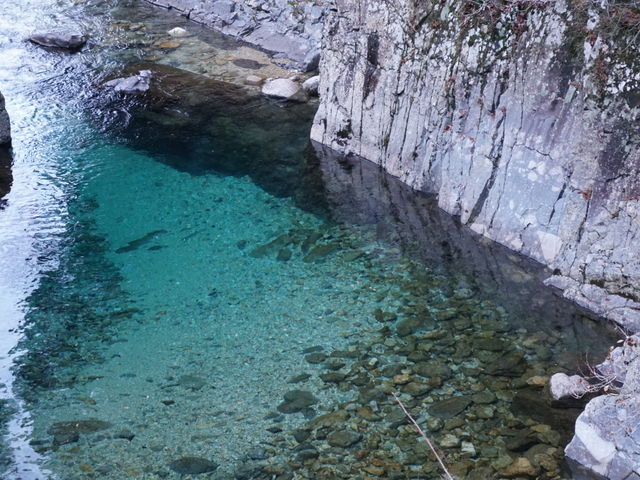 �����k�J