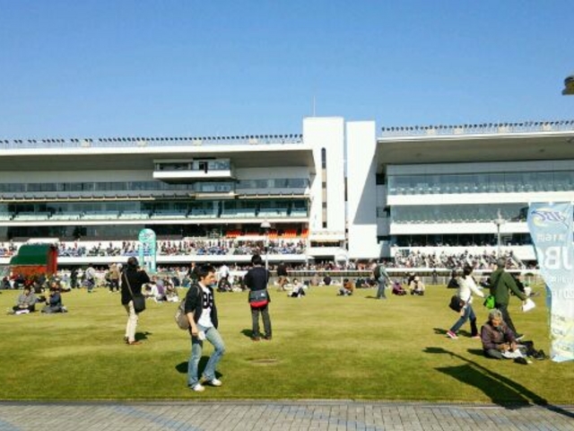 �Ő��̍L��_��苣�n��