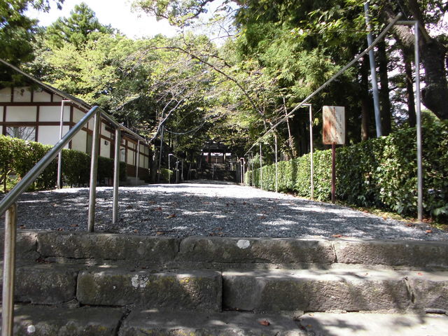 �Ɉ�J�{�Q��_��ɒJ�{