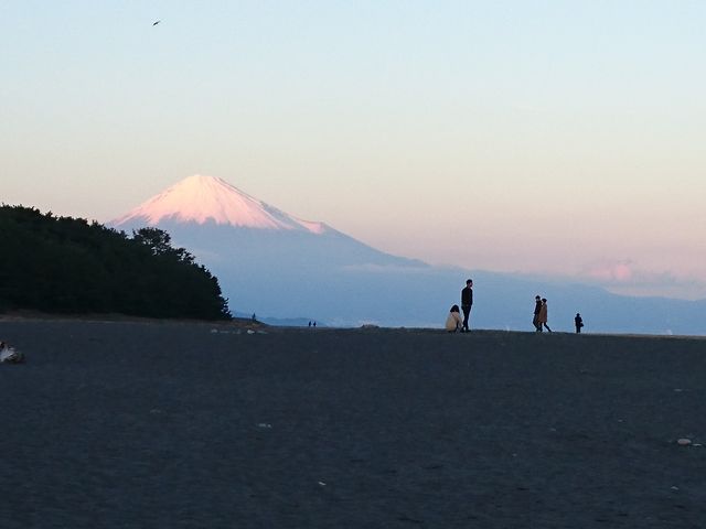 �x�m�R���ƂĂ��Y��ł����B_�O�ۏ���