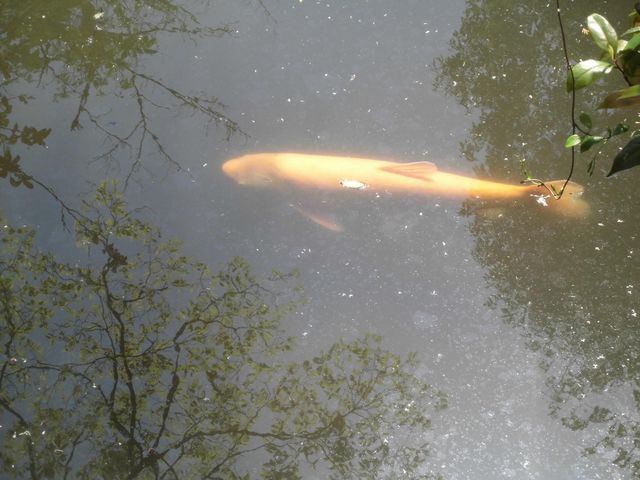 �傫����H�����܂�(���L�́M)��ܰ�_�X�쏗�̐_��