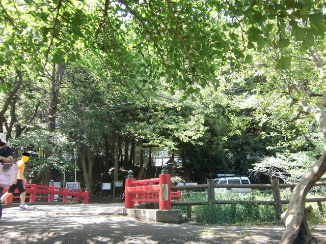 �X�쏗�̋�����(=^�E^=)_�X�쏗�̐_��