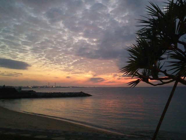 �e���X����_�e�������B�������[��