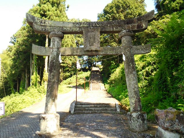 �Ȋ_�_�Ё[�̒���_�Ȋ_�_��