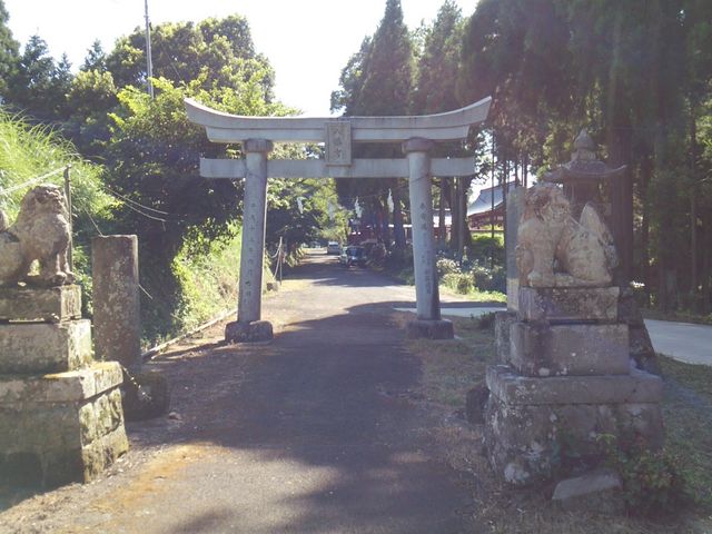 �q�a����_�Ȋ_�_��