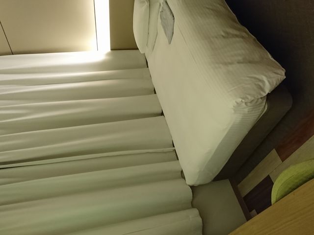 �V���O�����[��_�z�e�����q���c