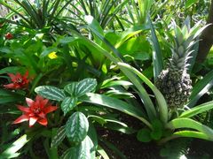 ͂܂܂t[cp[NV̎ʐ^1