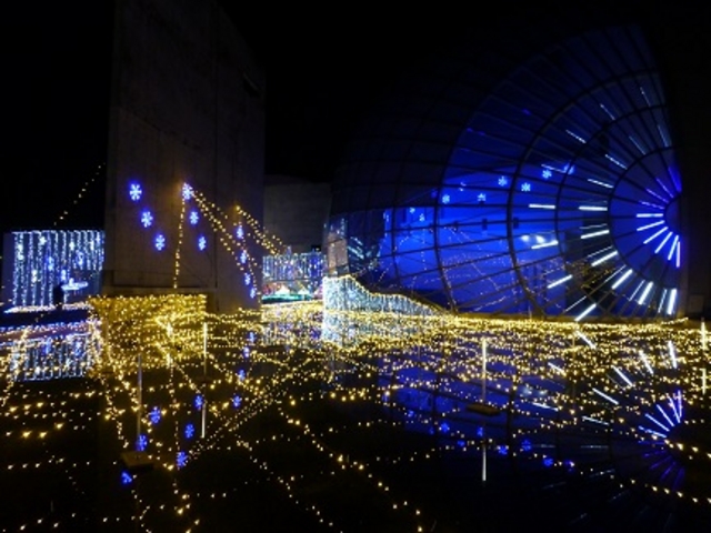 �����̔@�������N���o��I_�ߐ{�삪���n�[���j�[�z�[��