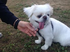 いしさんの岐阜市畜産センター公園への投稿写真1