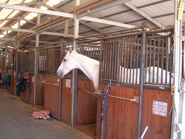 �n��_�J�i�f�B�A���L�����v