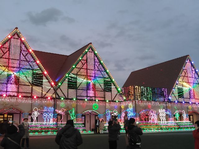 �}���N�g�v���b�c�i���y�Y�����j_�����h�C�c��