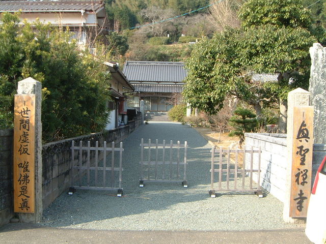 �Ԃ���񂳂�̋������̓��e�ʐ^1