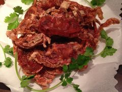 YopũAiEu[wXւ̓eʐ^1