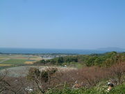 Ԃ񂳂̂񂸂̗^̓eʐ^2