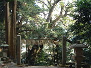 �Ԃ���񂳂�̑�N�X�̓��e�ʐ^2