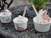 Q񂳂̈xq t@~[̓eʐ^1