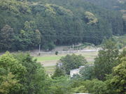 Ƃ-񂳂̒隬̓eʐ^8