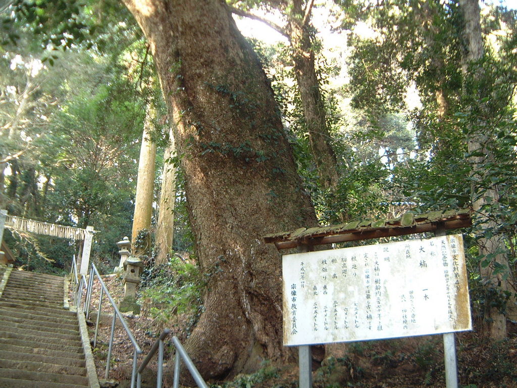 西鉄新宮駅周辺の動物園 植物園ランキングtop10 じゃらんnet