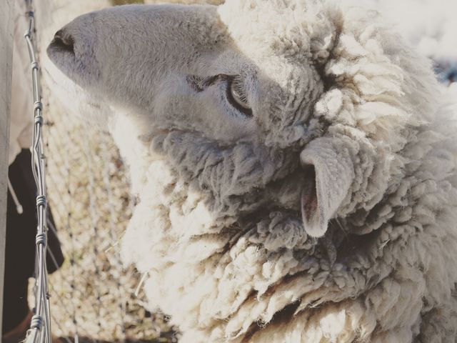 �������~�����Ă��܂�Ȃ��Ђ�����_�ɍ��ۃO���[���q��