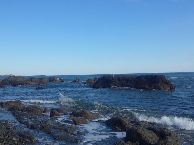 ���T���r�[�`