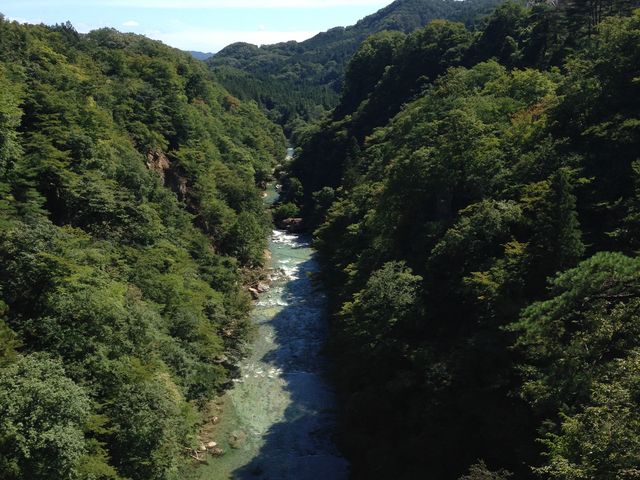 �P�l�\����