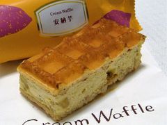 ܂̃}lPJRwXւ̓eʐ^1