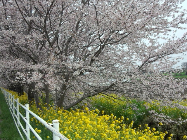 ���̉w�@�ɂ݂̂�