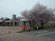 komo̓̉w@ɂ݂̂̓eʐ^3