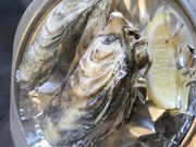 ̓VR򕗑҂̓@̓eʐ^1