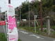 komoさんの根本山の桜への投稿写真4