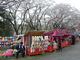 komoさんの根本山の桜への投稿写真2