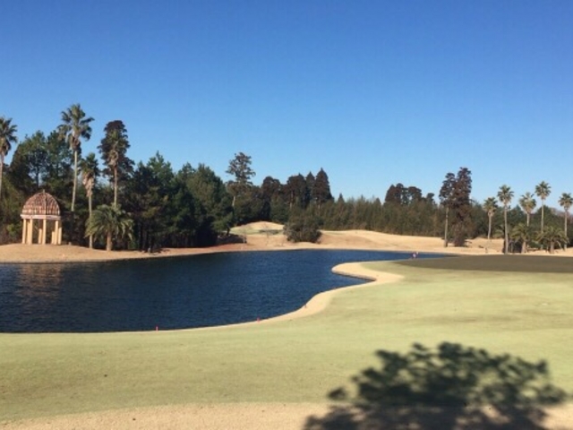 �R���X��_���E���B�X�^�S���t���]�[�g