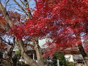 ӂ날r[̐iVsj̓eʐ^1