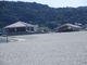 いわぴいさんの石見海浜公園海水浴場の投稿写真3